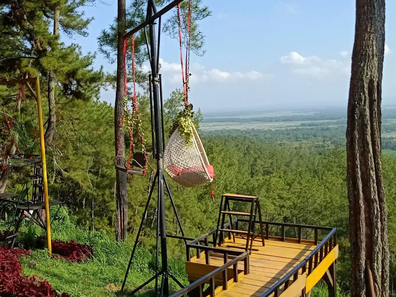 Nungki Home: Jembatan Wisata Cilacap yang Menyatu dengan Alam